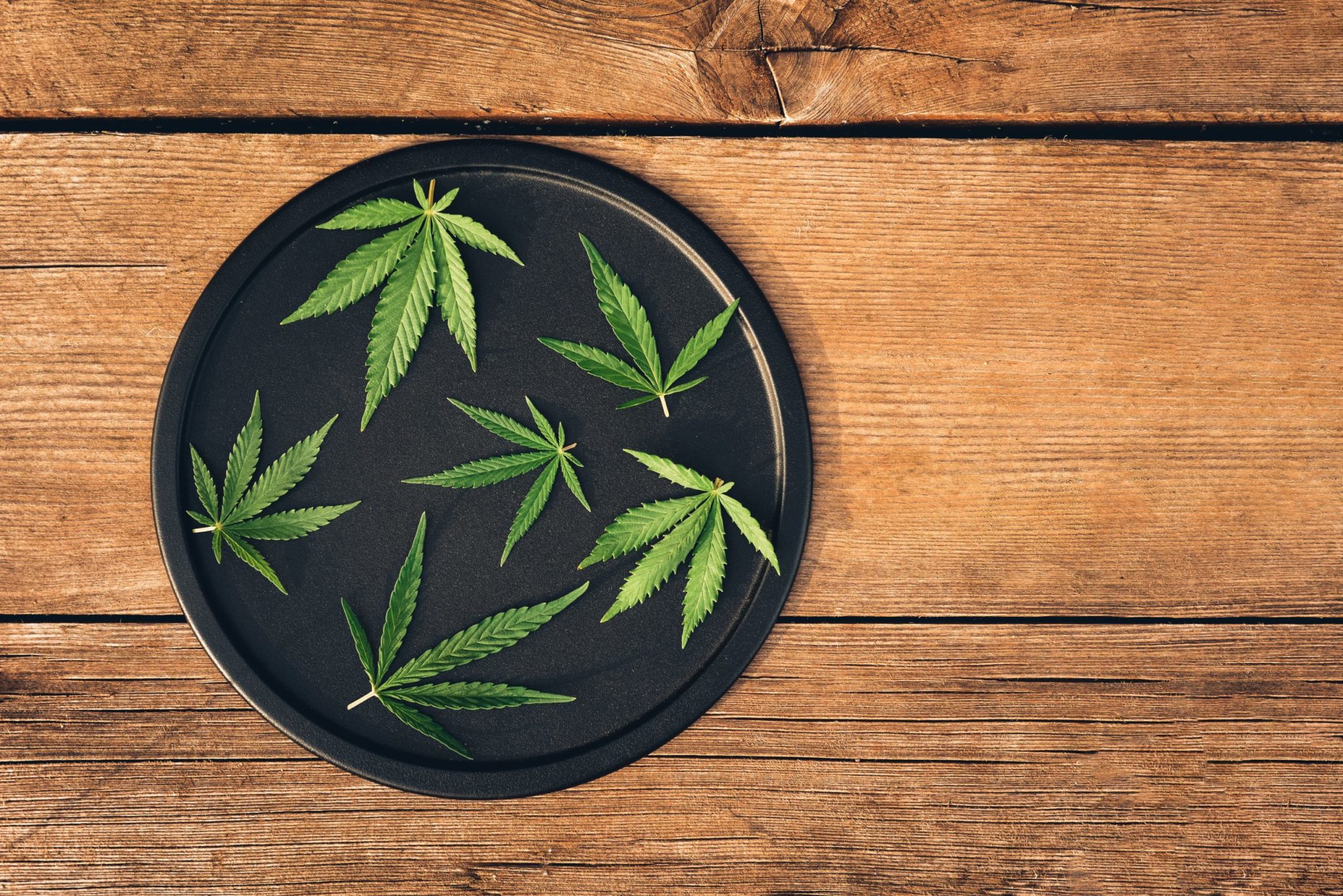 13 Things Cannabis-Friendly Doctors Want You to Know