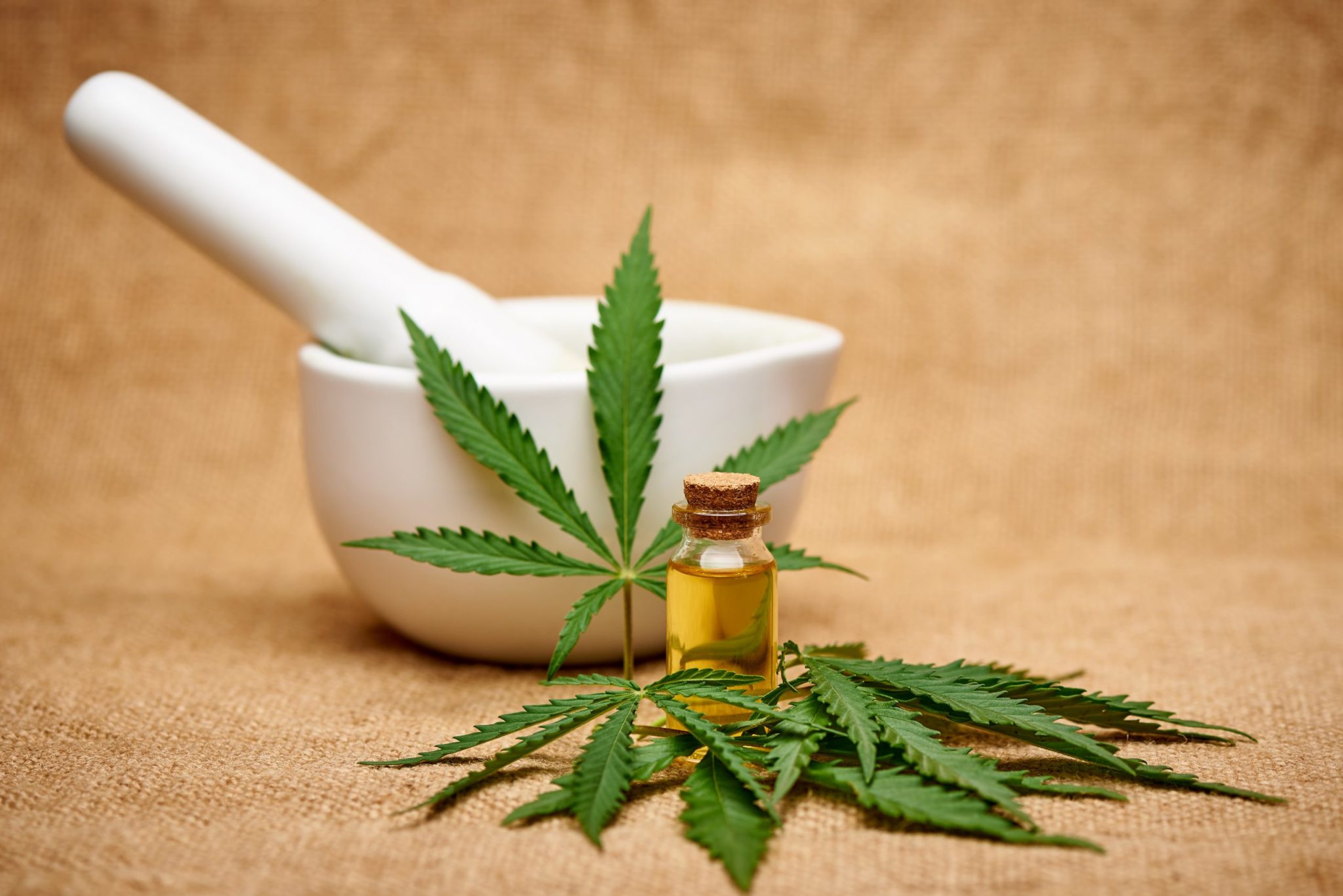 13 Things Cannabis-Friendly Doctors Want You to Know